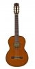 Aria A-20 NAT Aria A-20 NAT