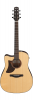 Ibanez AAD170LCE LGS Ibanez AAD170LCE LGS