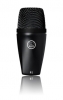AKG P2