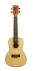 Kala KA SCG Solid Spruce Top Concert Ukulele Kala KA SCG Solid Spruce Top Concert Ukulele