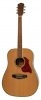 Carter Guitars CD-210S NL Carter Guitars CD-210S NL