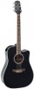 Takamine GD34CE BLK Takamine GD34CE BLK