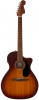 Fender Newporter Special HSB Fender Newporter Special HSB