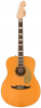 Fender Palomino Vintage AGN Fender Palomino Vintage AGN