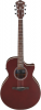 Ibanez AE100-BUF Ibanez AE100-BUF