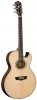 Washburn EA 20 SNB N Washburn EA 20 SNB N
