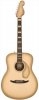 Fender Palomino Vintage Antigua LTD Fender Palomino Vintage Antigua LTD