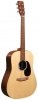 Martin D-X2E Martin D-X2E