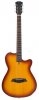 Larry Carlton G5A TSS Larry Carlton G5A TSS