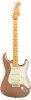 Fender American Professional Classic Stratocaster MN FFMG Fender American Professional Classic Stratocaster MN FFMG
