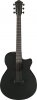 Ibanez AEG621-BOT Ibanez AEG621-BOT