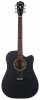 Washburn WA90C B Washburn WA90C B