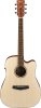 Ibanez PF10CE OPN Ibanez PF10CE OPN