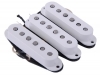 Fender Custom Shop Fat 50s Stratocaster Set Fender Custom Shop Fat 50s Stratocaster Set