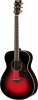 Yamaha FS830 DSR Yamaha FS830 DSR