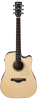 Ibanez ACFS300CE OPS Ibanez ACFS300CE OPS